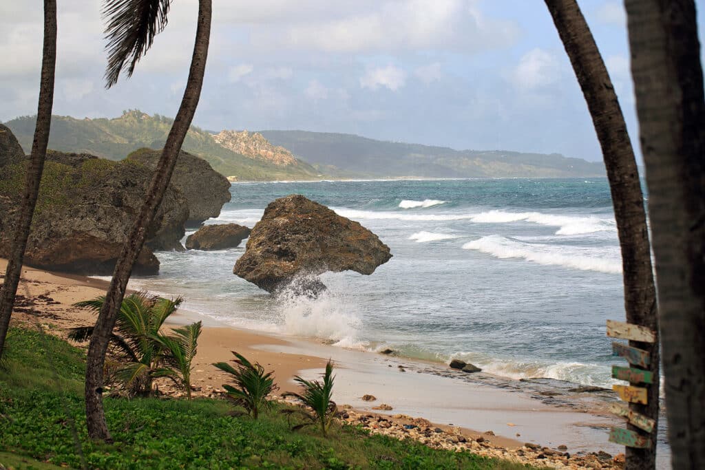 Barbados' Best All-Natural Attractions Reviews by Save On Vacations 4