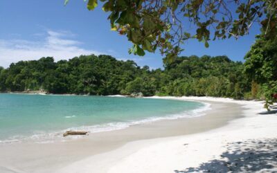 Save On Vacations Reviews Awesome Costa Rican Scenery